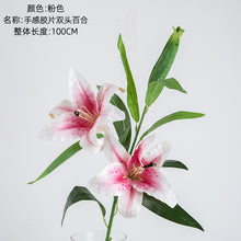 246e0201a5788112e029d1820c53cd6e