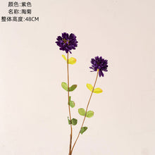e0183c9b1181196b9b55b756d6e5453e