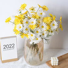 c8569a5c1359cd35a23cb290feedb07d