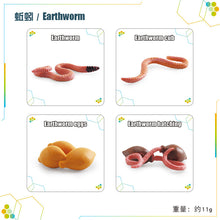ede4cb4c881c52c3d55ddf62ba8db0a6