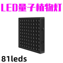 13b28f7c3dd369e4e8e5df5e6ec5346b
