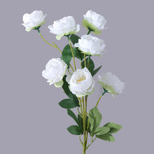 c4ad9b31137cc26820ebfdb1822f99e4