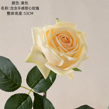 a060a6b5dc58014bdb2a24742cd2a331
