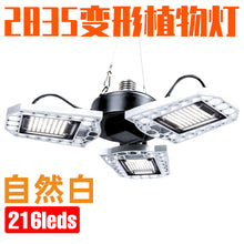 d246832898ad54bb7d8e845226fe6789