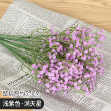 e1683523cd42f199296d3141cf8aa2e5