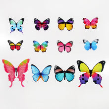 fce3d7701244a860925a313848f820e2