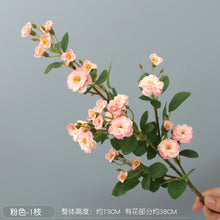 8cfe6b61c36b9e50fecc1e27ece8f403
