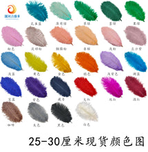 27fbccd9ac805cd21c3296dfb001c5d6