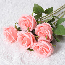 5fd0e2161a17b300df4e7ef25e6a8a95