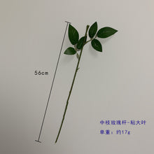 e50a94c18ab986ccbf748e6d52f2393f