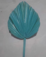 fb86a0107655ce5063820576d419eea9