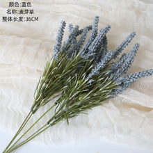 c828556ce40a04ee89a59d68a90c9725