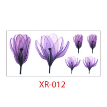 47e2b37263612f4cb8bd6b60522cb2ed