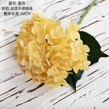 2ce8f6f7da630c233dcbddfb4ba0c4a6