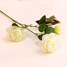 b3c9a3c4193ab41feec49df40879a218