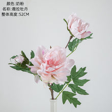 4956b41f2510ffc632799556e4d8dd68