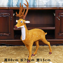 6cc5e79b4eb57b657819fd157da5cec6
