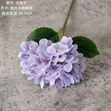b028dee797e56dae86d76c853d3632d7