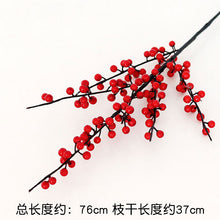 e57cc2a76aa847d6d8cc82c0cfbb14ed