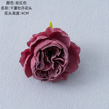 227dc89efd643943166ea46555628e00