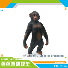 51ca82f59024d5138a774a2c4f28c705
