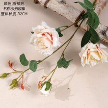 a9f71c773c08ce25315b6e914ad40f88