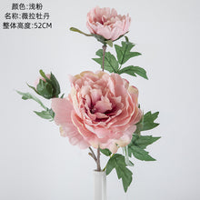 27a1685e28e10abd207e66be0038bd67