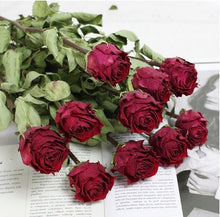 da6d260ec7ec13ad882d3d35be038538