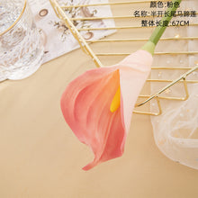 afa59086f8106474b7023e545d8d6c5b
