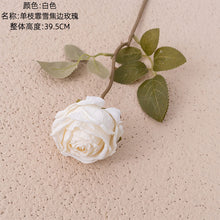 cabc20bd5d563f0ba471dd38bade0b87