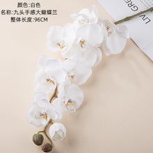 8903b3f0203b478ede50d0df8603c8a3