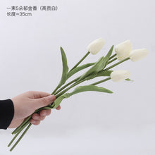 5aa5d46e2173e265cc9412ebf75a7f71
