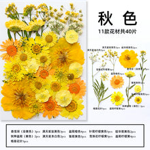 fd164aa915a4d5bcc49052e7f37ea672