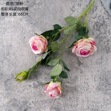 0ef66fb26d68039fc6e4f3f33b6448a9