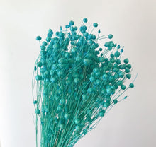 cefc6c2dccd9fb6b786be44f612ab7a9