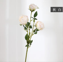 45d7d2e4c5a156ed8abb1955d9d144ba