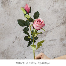 8904654cf7fcbcd1618e246d448b174a