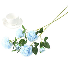c95ccc31ca06303899bd800136e5eea2