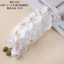 dc62325e7e3fc7d7d22d81d79337ff5f