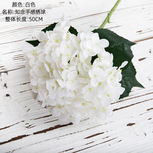 acd0d3f31fefdf5ea05b94e21125a4c5