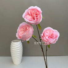a8e61155fff9ed5bf583a52c3ac150d9