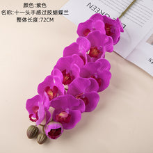 ce58004f3cfee6885f4f4abe46cd59ea