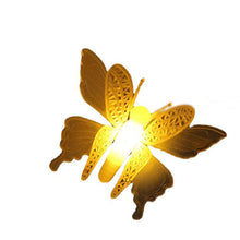 4170ee737cf5e6cb3bb6b9e6f8fe7a98