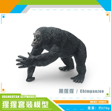 6c209088baa26e46f2fb057cc1737109