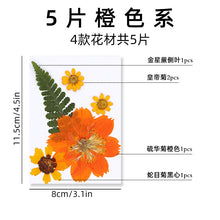 a24a4f027ccbd874ec78303e78766051