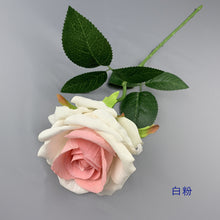 c2bd64c6a213dcb98c6e84ef17637e08