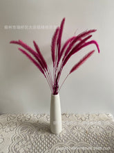 5cd851f7550ee34db8820cea03e7b51e