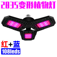 a611e886ab3d98b7d5d4f4c8285b0b6b