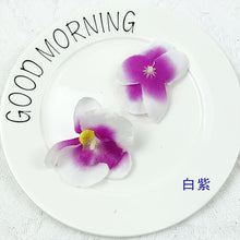 8021883a390b106f768779fafb4d7c50