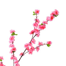 3d0653b984acc6516708a6ef798aa83c